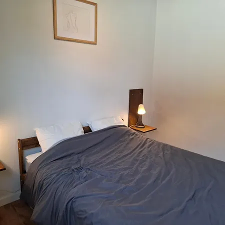 De Volkswasserij, Woning Met Tuin Nyaraló Leuven