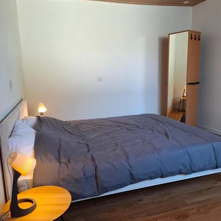 De Volkswasserij, Woning Met Tuin * Левен