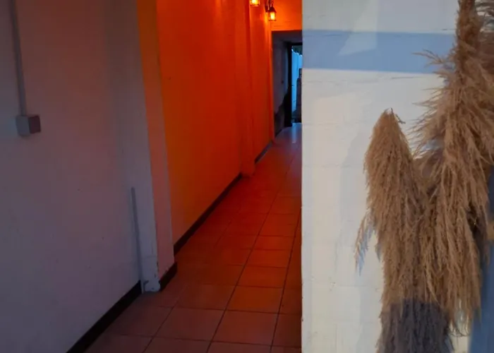 De Volkswasserij, Woning Met Tuin Feriehus Leuven