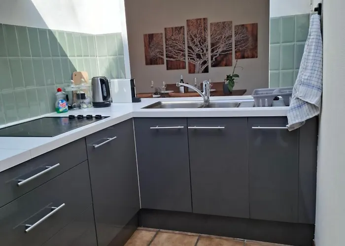 Feriehus De Volkswasserij, Woning Met Tuin *